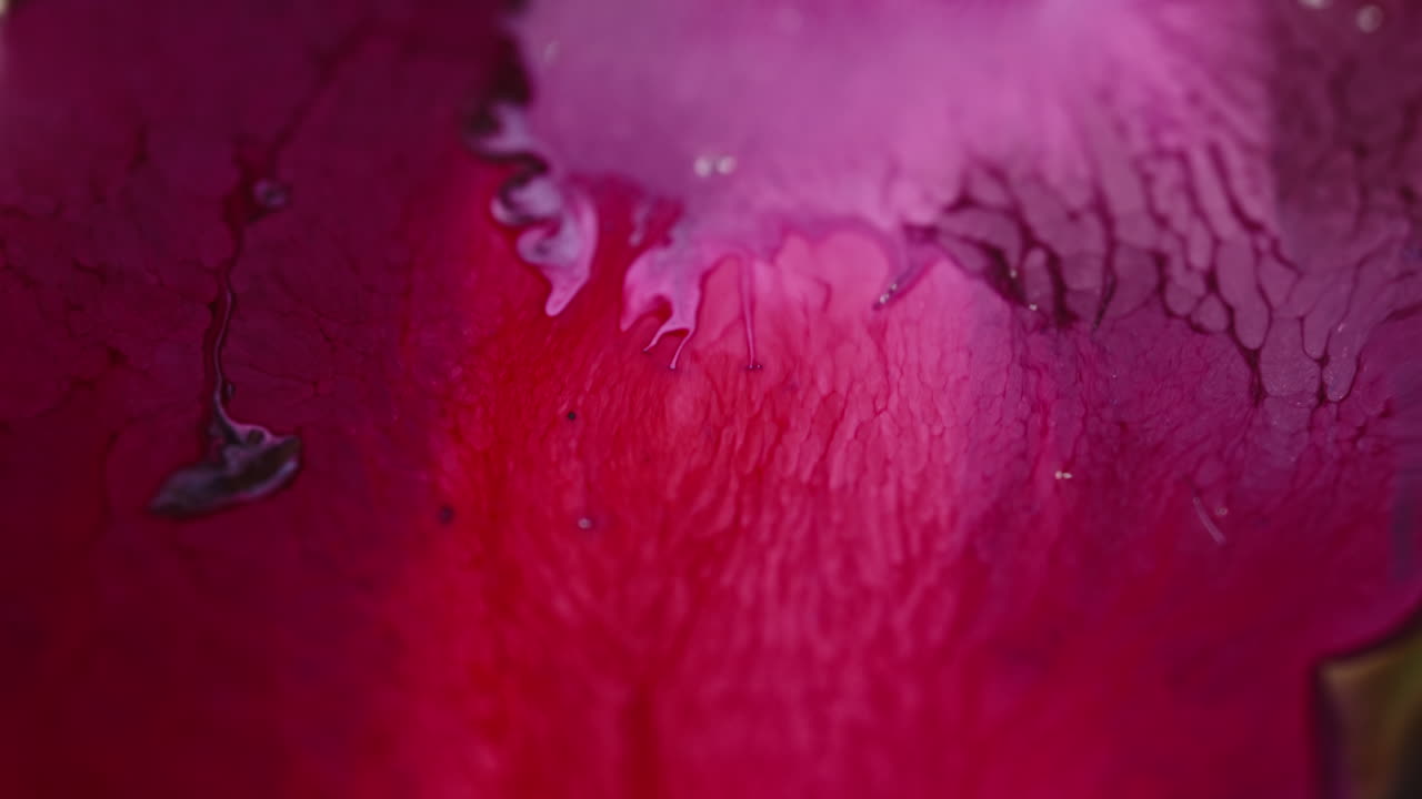 Vibrant liquids mixing in a mesmerizing macro shot with pink and purple hues blending smoothly