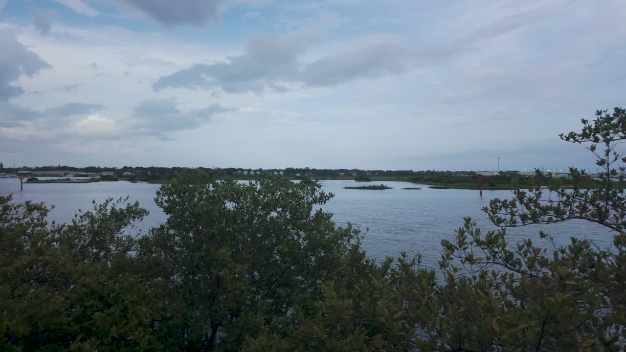 A wide shot of Florida marshland and calm water under soft, overcast clouds. Coastal vegetation in the foreground with a peaceful, natural vibe.