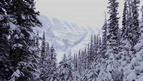 view from banff alberta hike, 4k