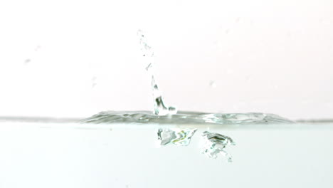 kiwi falling in water on white background