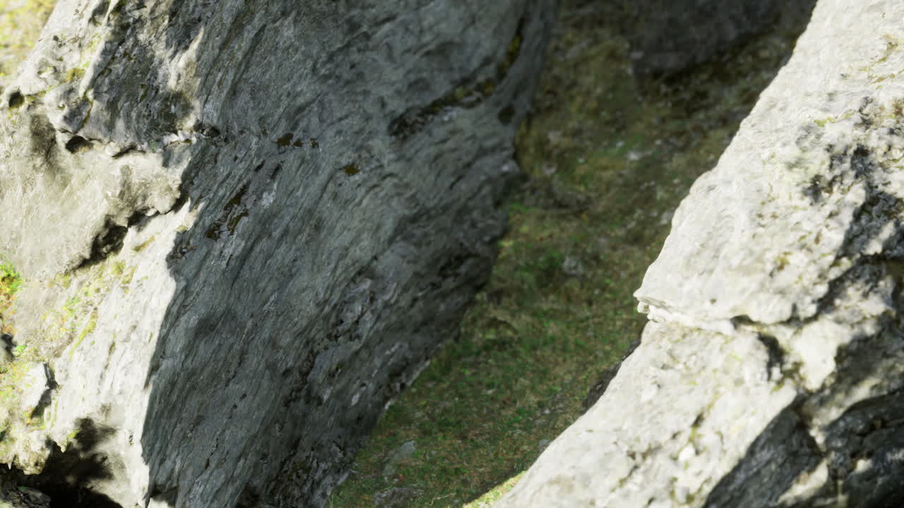 Exploring the textures of ancient stones in a tranquil outdoor scene