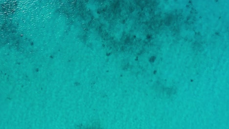 fondo arenoso con arrecife en claro turquesa agua del océano del caribe se desvanece a azul oscuro, aéreo