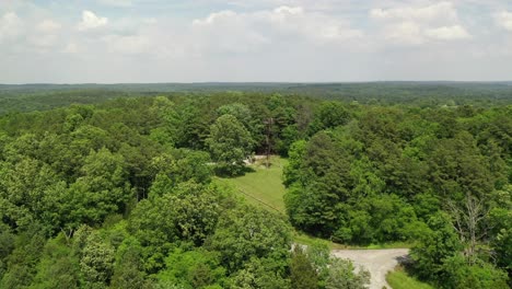 flying toward landscape viewing tower surrounded by dense forest