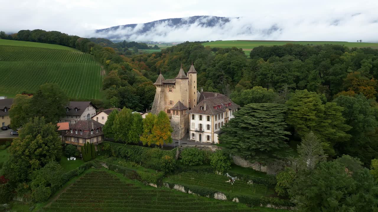 Aerial View of a Castle in a Vineyard
