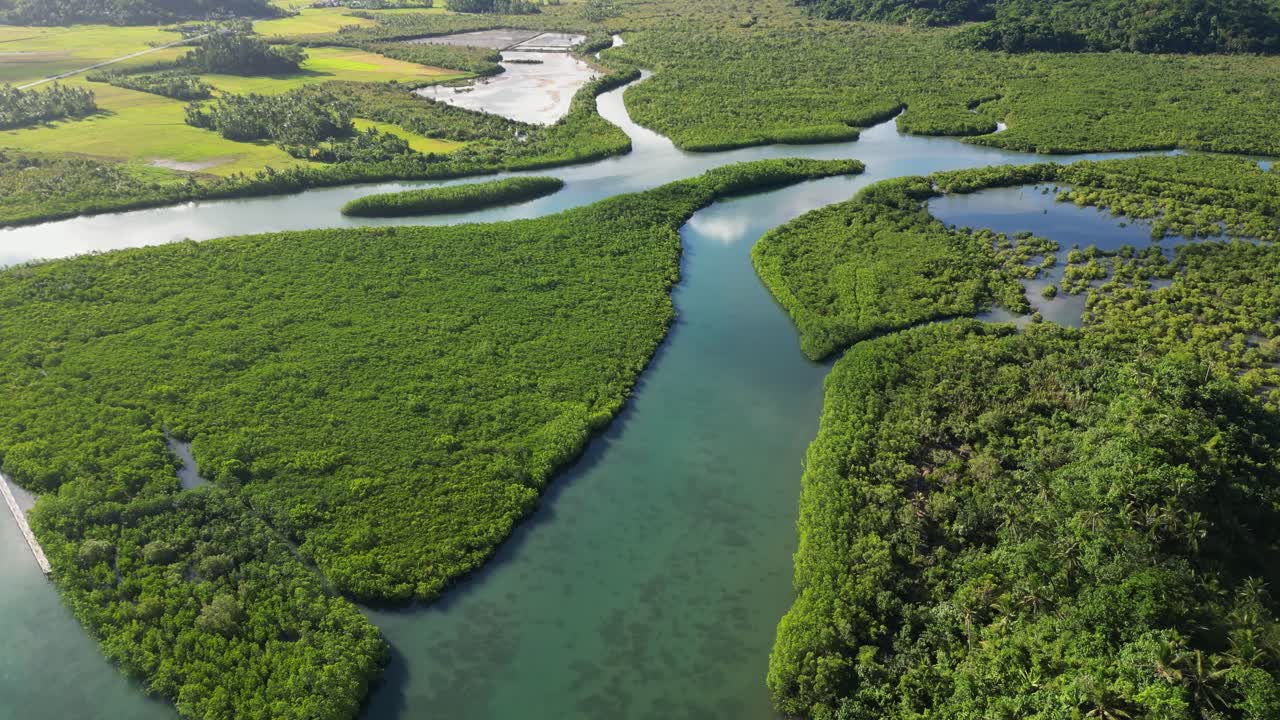 Breathtaking drone flyover of scenic mangrove river park amid lush tropical greenery during daytime at Catanduanes, Bicol, Luzon, Philippines.