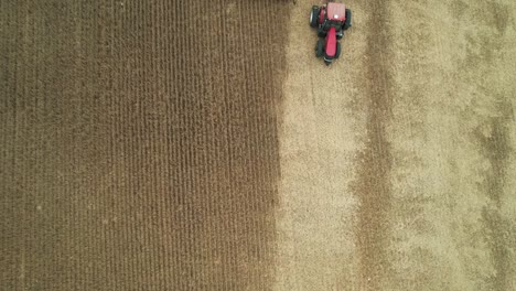 in wisconsin, a combine cuts and collects the soybean harvest