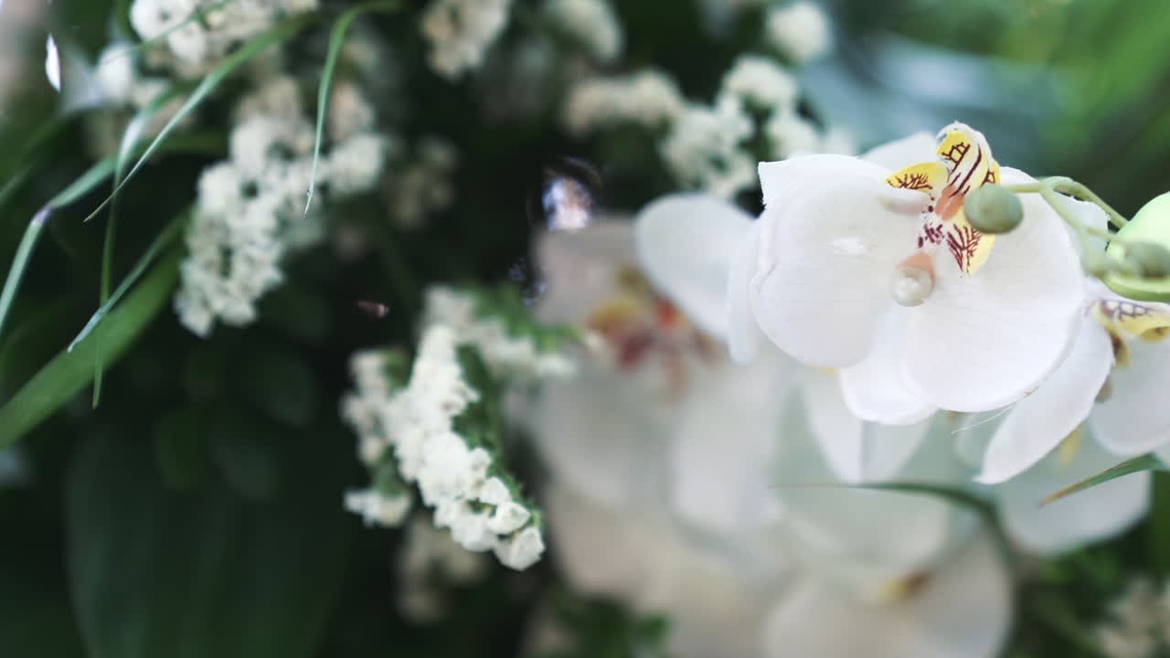 Close-up of elegant white orchid wedding arrangement, floral design and luxury event