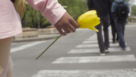 a tulip is held in the hand of a gentle young woman in downtown chicago