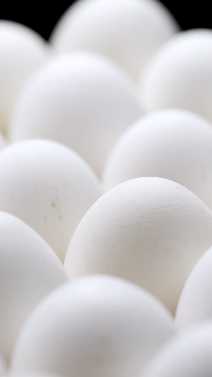 Close-up of packed chicken eggs. White eggs in carton box. Vertical video