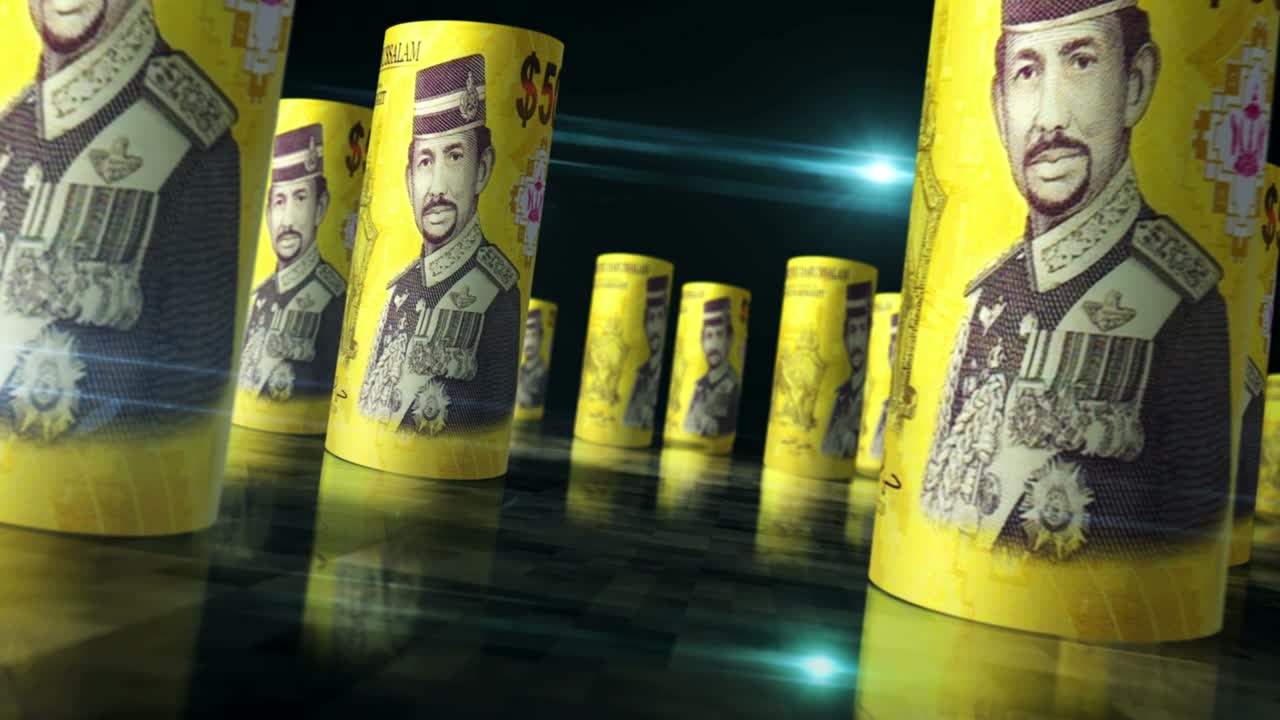 브루나이 달러 화폐 롤