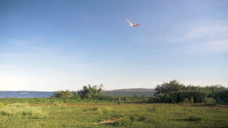 una toma amplia de un niño volando una cometa a orillas de un lago en áfrica