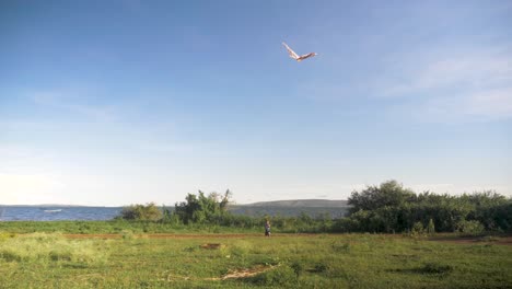 a wide shot of a young boy flying a kite by the shores of a lake in africa