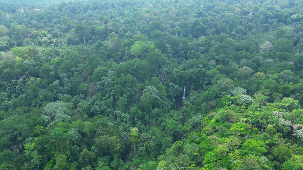 Vue aérienne circulaire de la magnifique cascade de Guegue au milieu de la forêt verte de São Tomé, en Afrique.