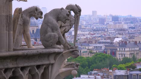 法國巴黎的聖母大教堂 (notre dame cathedral) 裡,有一群小猩猩在守望著巴黎