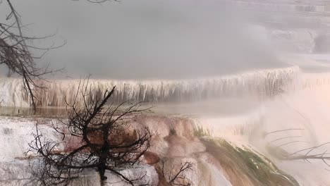 limestone deposits from a hot springs terrace create an interesting living sculpture