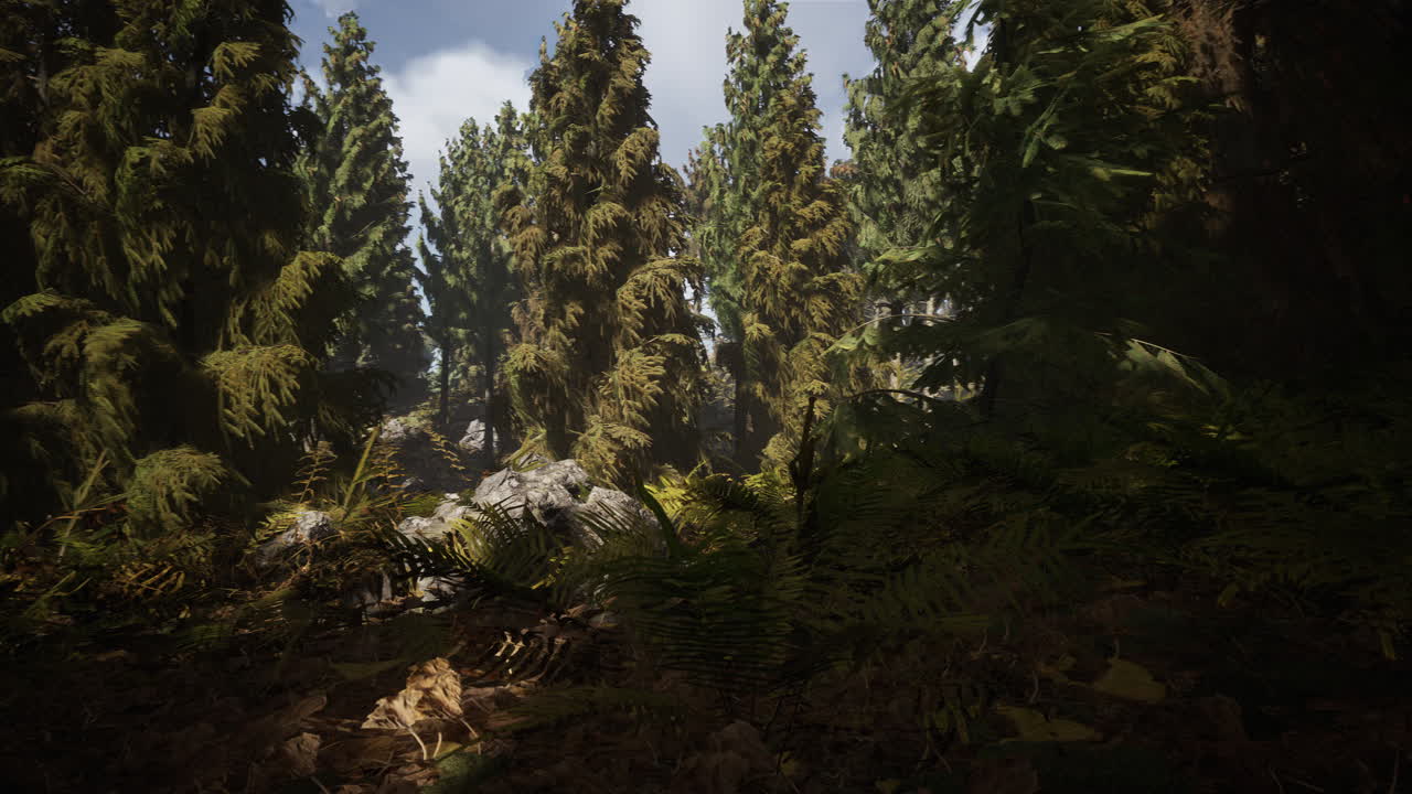 el cono del bosque en un día de niebla