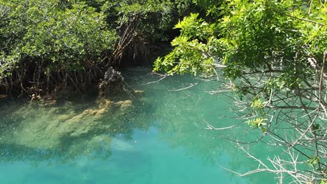 Blue-Hole-Hill-Park-Es-Una-De-Las-Atracciones-Turísticas-De-Bermuda