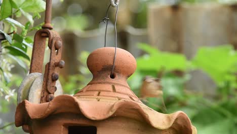 Casita-Para-Pájaros-De-Cerámica-Que-Atrae-Pájaros-Del-Patio-Trasero-Reyezuelo-Sureño-Para-Anidar