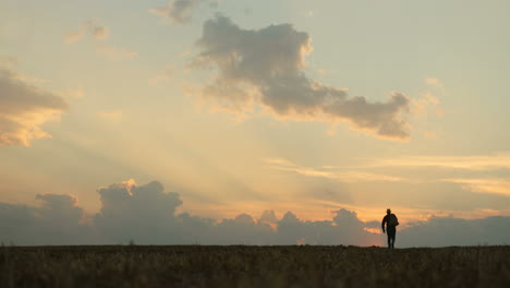 silhouette de l'homme avec un sac plein de grain sur le dos s'en allant dans le champ