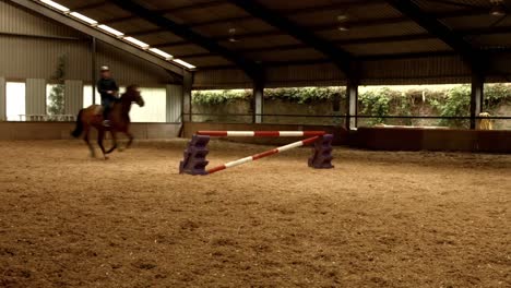 man riding horse around paddock