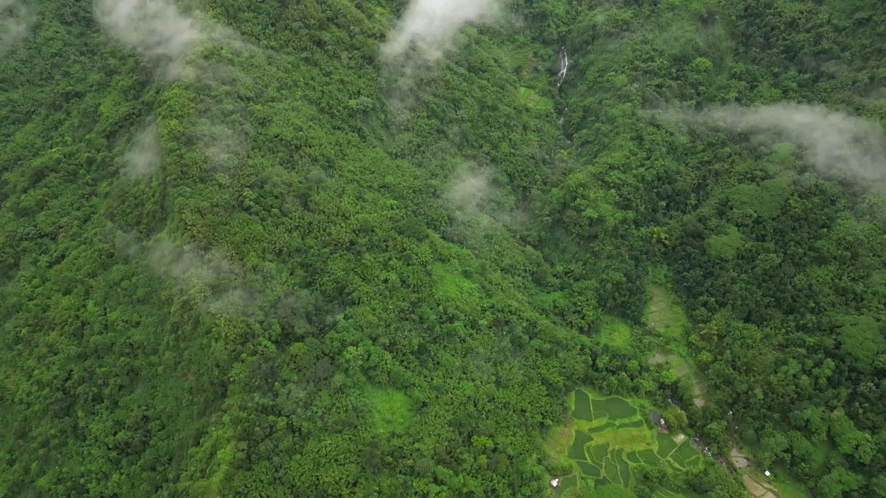 A wide aerial angle glides to a final hold over mist-covered forested mountains. A small waterfall cuts through the greenery, anchoring the scene’s serene close on untouched natural terrain