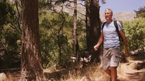 hiker walking in forest