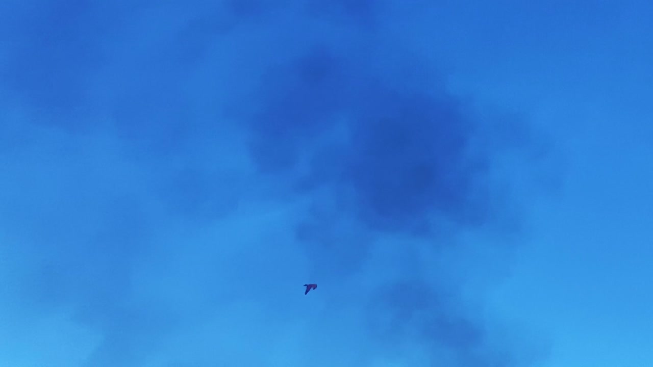 파란 하늘과 구름과 함께 하늘에 검은 연기를 통해 높이 날아가는 독수리