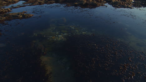 el agua se encuentra todavía en la piscina a lo largo de la costa rocosa, cacerola lenta