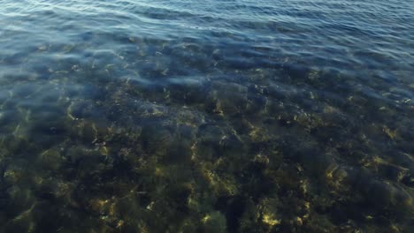 loop de cinemagraph de agua clara