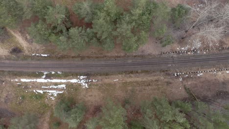 Antenne:-Eisenbahn-In-Einem-Wald-An-Einem-Düsteren-Bewölkten-Tag-Im-Frühling