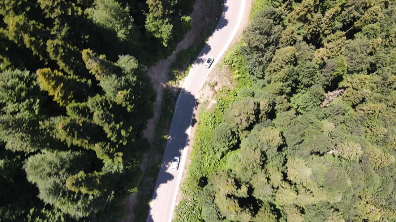 Vista Aérea: Coche Conduciendo por el Bosque