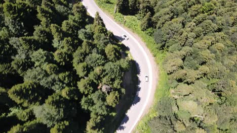 vista aérea conduciendo coche bosque