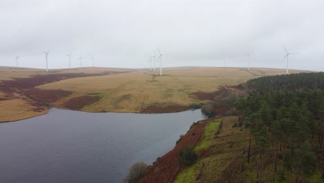 wind turbines and forest tree plantation aerial view with reservoir on overcast day 4k - rising aerial drone shot