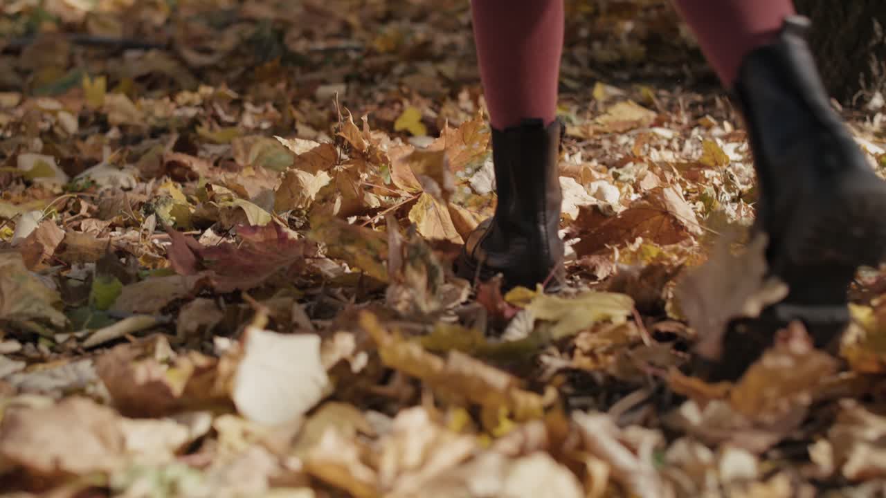 Part of girl walking between autumn's leaves.