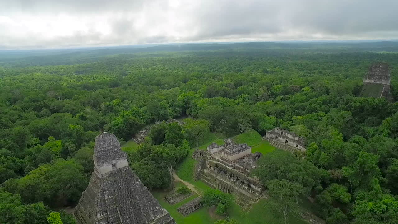 gran toma aerea sobre las piramides de tikal en guatemala 11