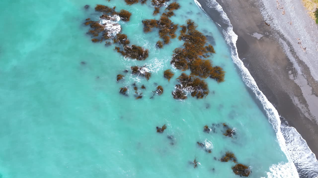 Flight with birds eye view straight down over the creamy aqua waters of New Zealand's Kaikoura Coast, above rich seaweed forests, mild sea swells, and slow pulsating wave breaks Kekerengu New Zealand