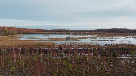 Tracking-drone-shot-captures-lone-tower-amidst-an-overgrown-lake-during-magic-golden-hour-of-autumn