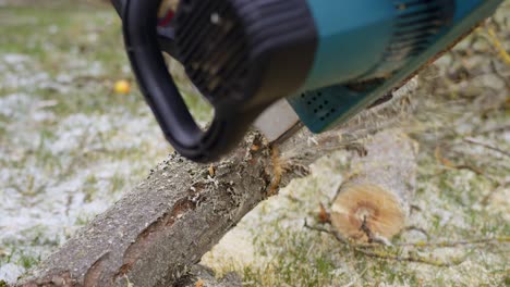 Cutting log into firewood for the heating season in winter - yard work