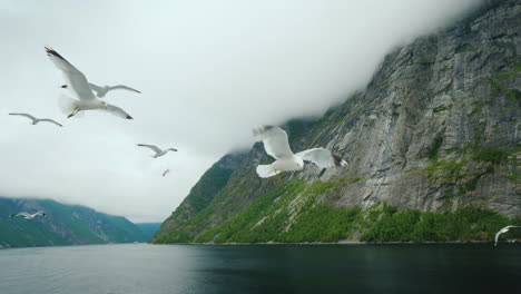 cruise along the picturesque fjord in norway view from the ship