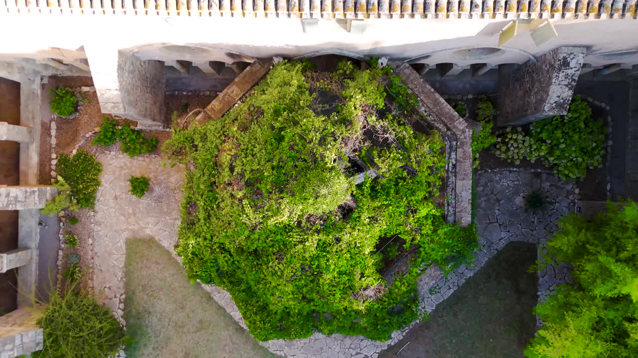 Top-down rising shot overhead trees in the courtyard of a abbey