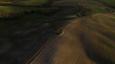 above view of cipressi di san quirico d'orcia at sunrise in the province of siena, tuscany italy. aerial shot
