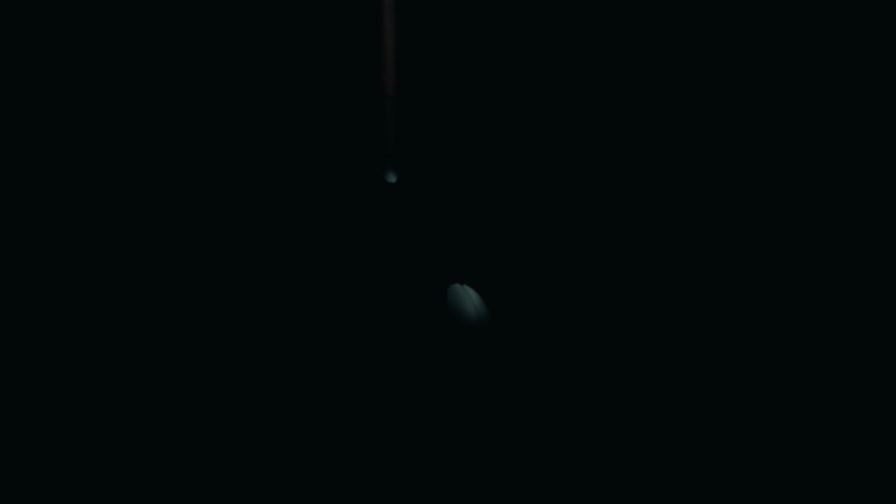 Wine bottle silhouette rotating dark