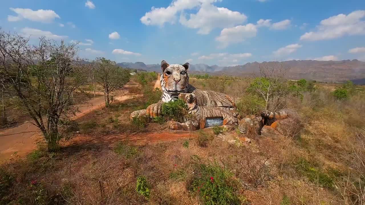 드론은 날씨가 변한 호랑이 동상 위를 날아다니며 거대한 반 건조한 사막 풍경이 지평선으로 어 있으며, 하늘을 배경으로 나무와 산이 있습니다.