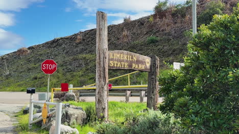 banana slug trail in big sur's plaskett ridge area