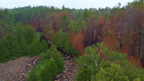 Drone-flying-through-the-trees-and-the-over-a-small-stream-in-a-forested-area-of-the-backwoods-of-Toronto,-Canada