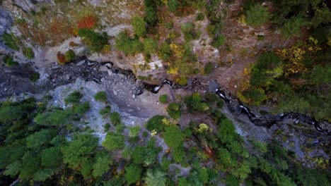 vista aérea de las aves de la cascada donut cae durante un hermoso día de otoño con hojas cambiantes