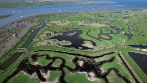 Tollesbury-Marina-in-Marshes-of-Essex,-UK---Aerial