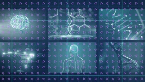 Animation-of-triangles-over-rotating-dna-helix-over-medical-infographic-interface