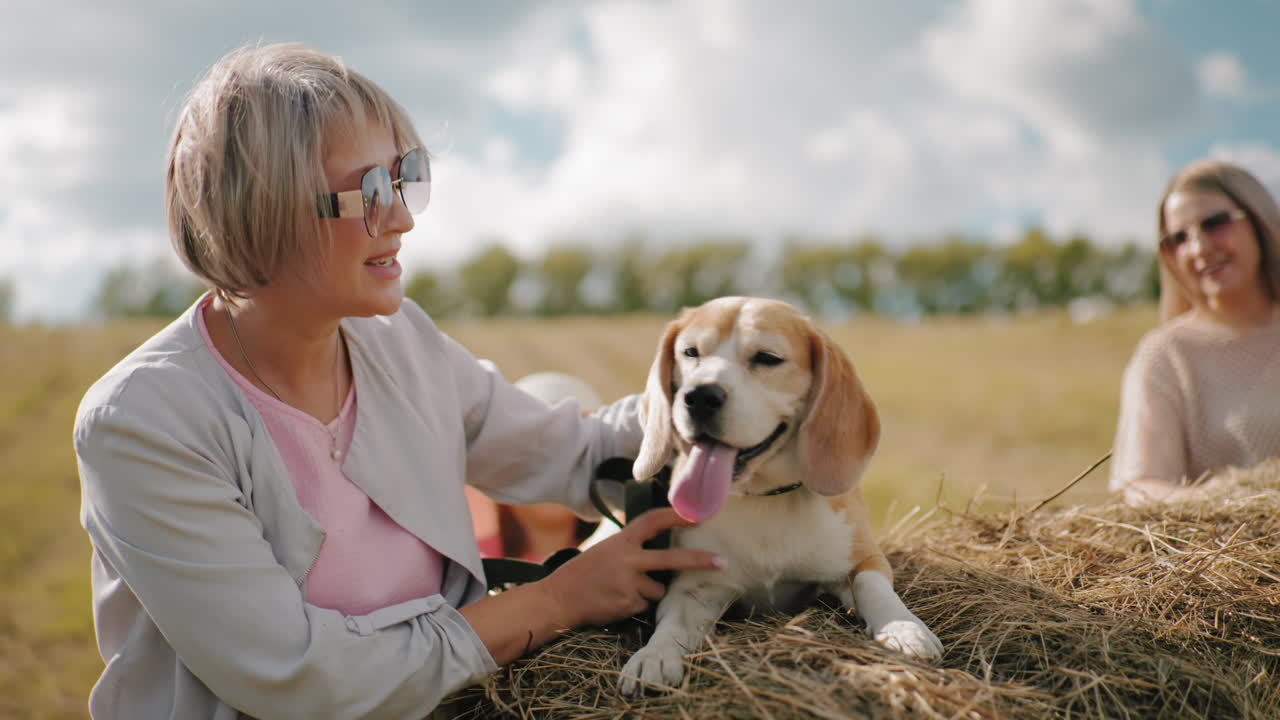 선글라스를 착용한 중년 여성이 풀 위에 휴식을 취하는 개와 상호 작용하는 동안, 선글래스를 입은 다른 여성은 배경에서 미소 짓고, 부드러운 빛과 열린 시골의 따뜻한 시골 설정