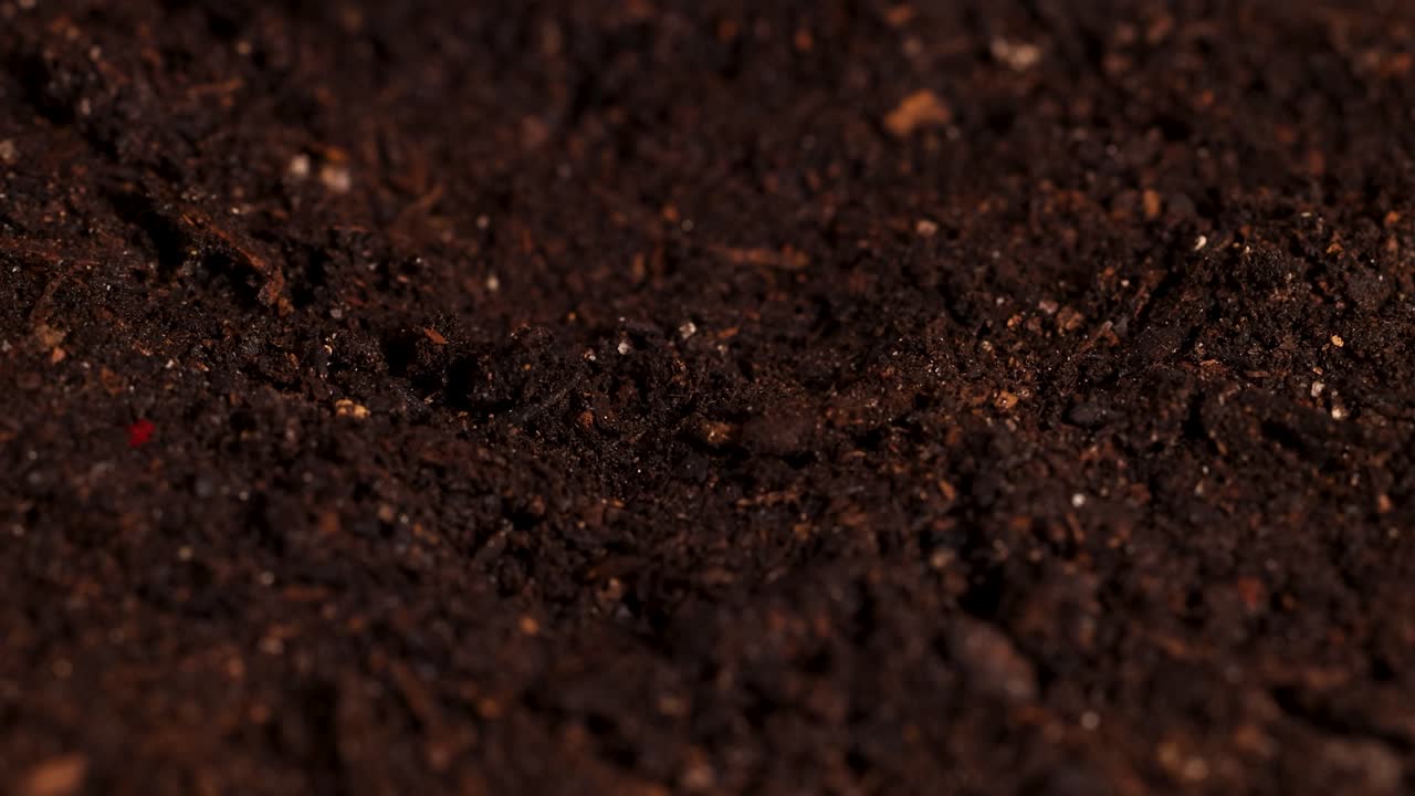 Close-up of water mist spraying onto dark soil, highlighting texture and moisture interaction under controlled lighting